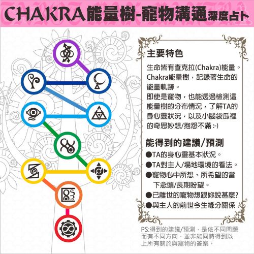 【塔羅占卜】CHAKRA能量樹之寵物溝通 深度占卜